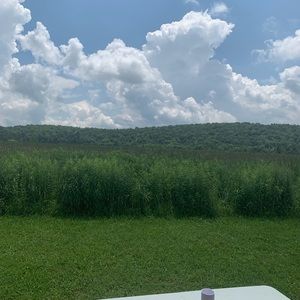 Meet your Posher, Cortney